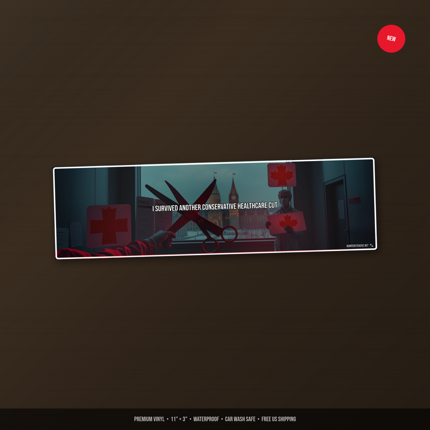 I Survived Another Conservative Healthcare Cut