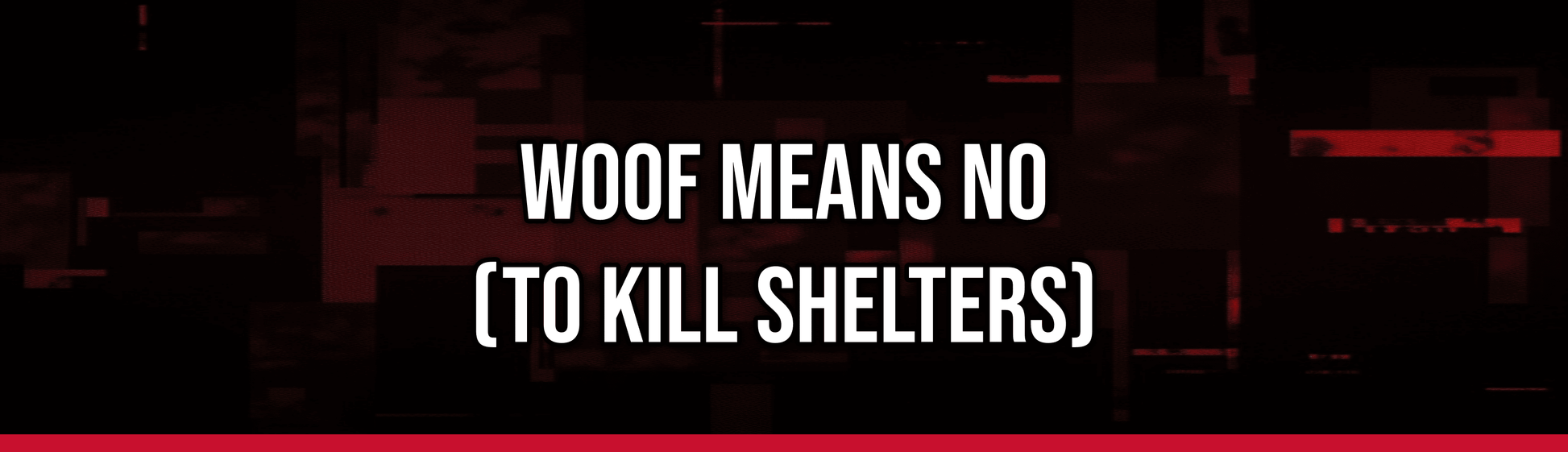 Woof means no (to kill shelters) — Political Satire Bumper Sticker