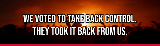 We Voted to Take Back Control. They Took It Back From Us.