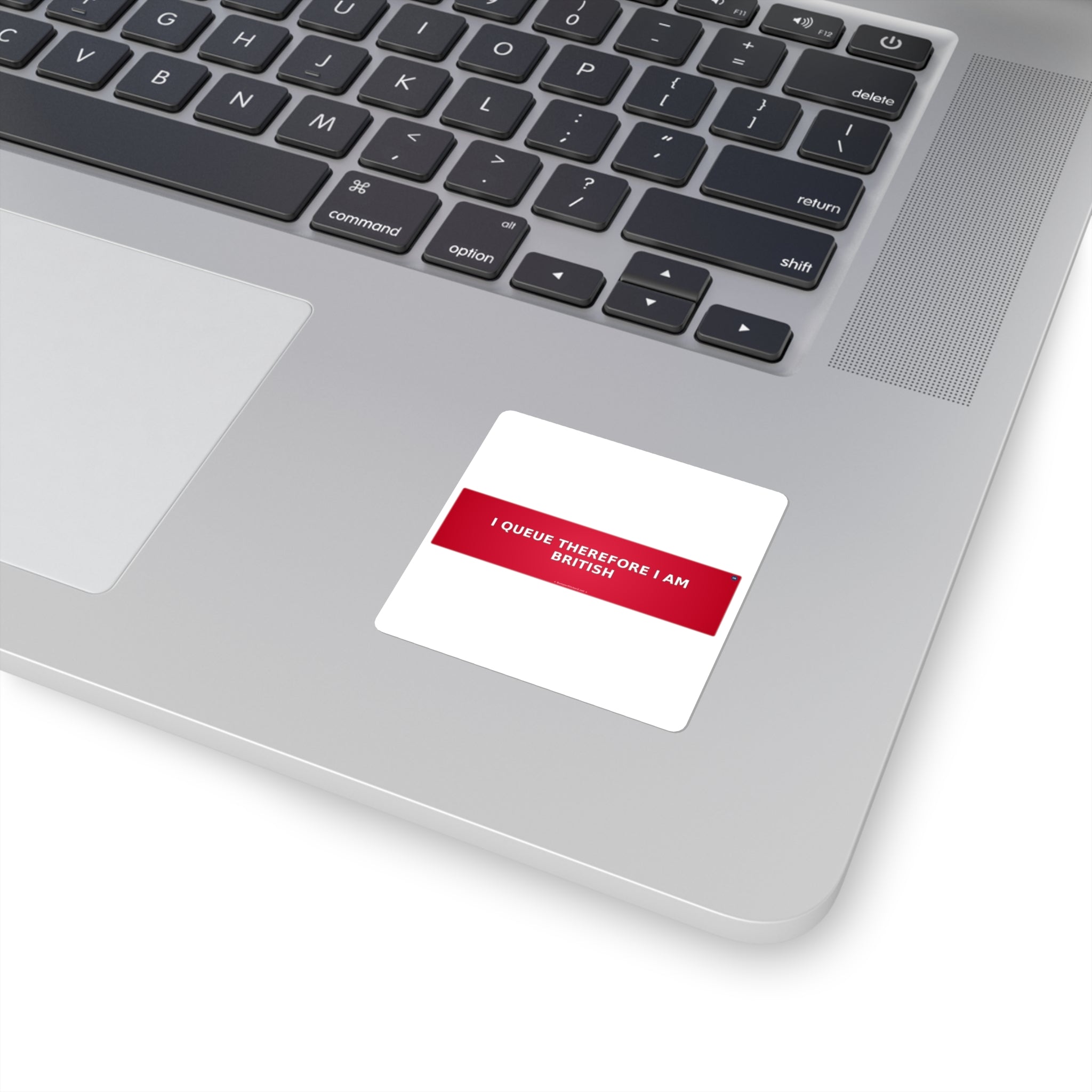 I queue therefore I am (British)